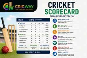 cricket scorecard